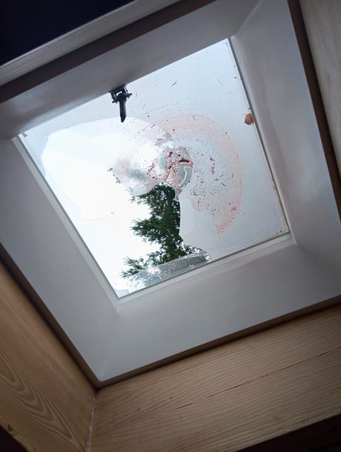 Lichtkuppel auf dem Hallendach