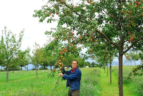 Obstsortenmuseum
